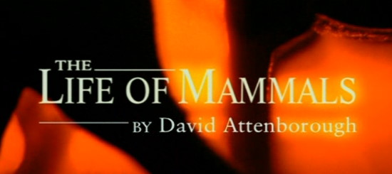 The Life of Mammals - David Attenborough